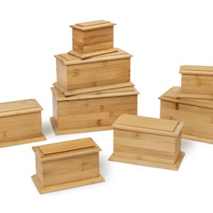 Arun-Bamboo-group