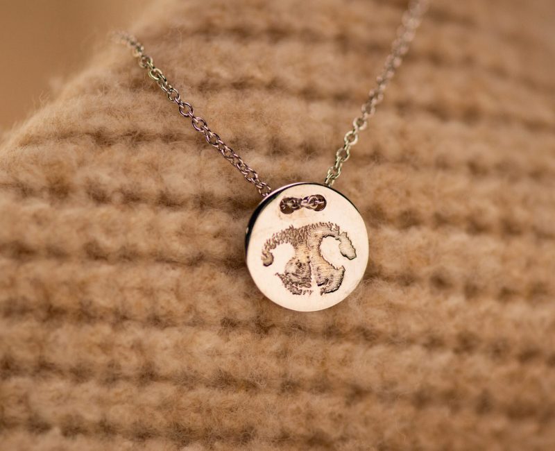 _DSC0570 boop engraving Neck