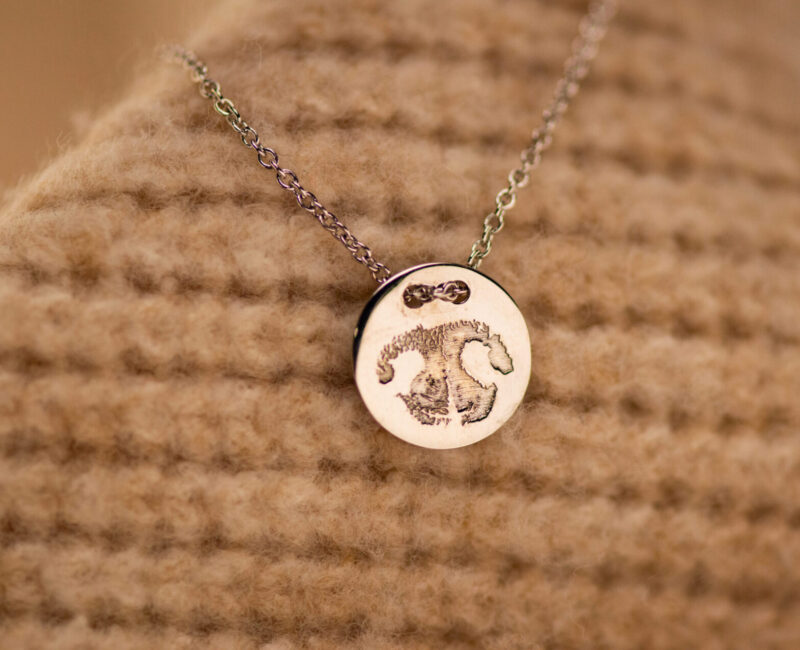 _DSC0570 boop engraving Neck